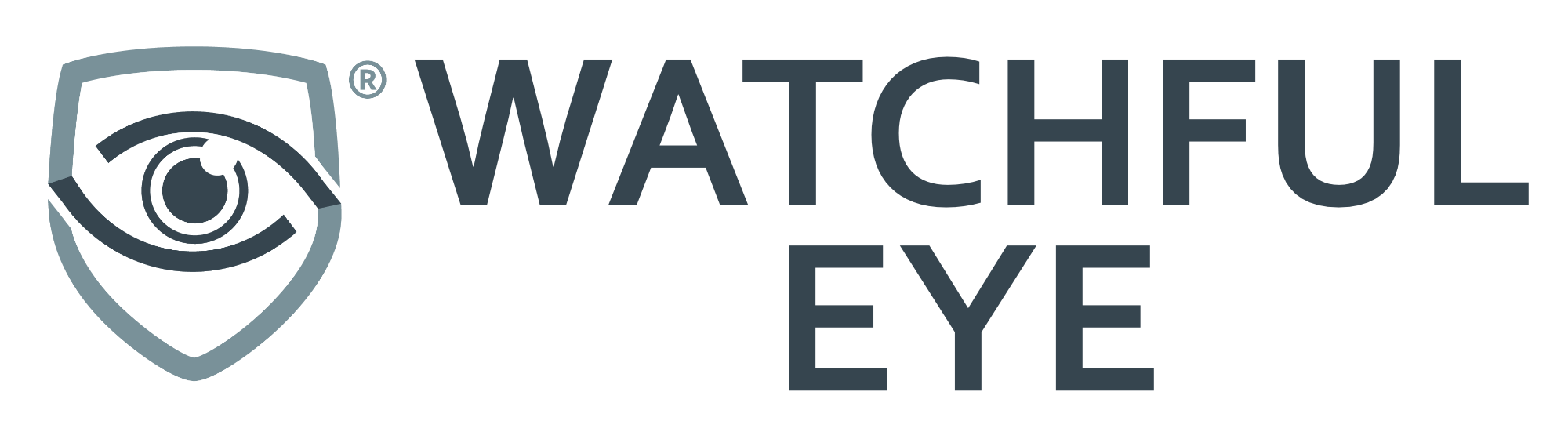Watchful Eye Software