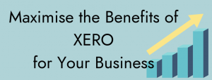 maximise use of xero for your business